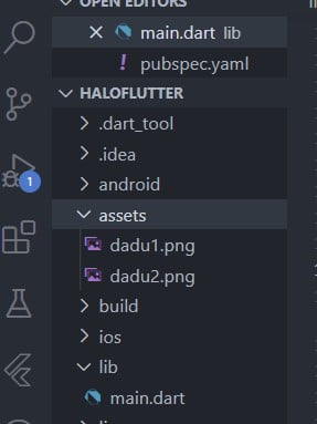 Tangkapan layar menunjukkan folder assets tempat menyimpan asset aplikasi