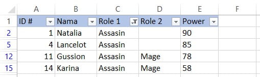 Hasil filter menampilkan data hero dengan role assasin di Excel