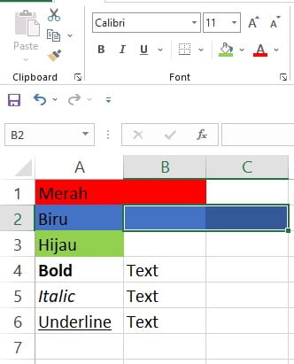 Hasil penggunaan Format Painter pada rentang B2 hingga C2 di Excel