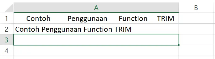 Tampilan hasil akhir penggunaan fungsi TRIM di sel A2 Excel