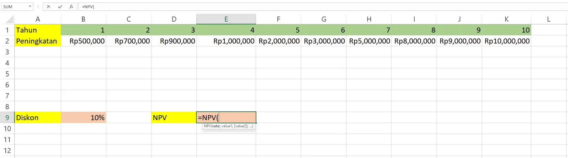 Memulai rumus fungsi NPV pada sel E9 di Excel