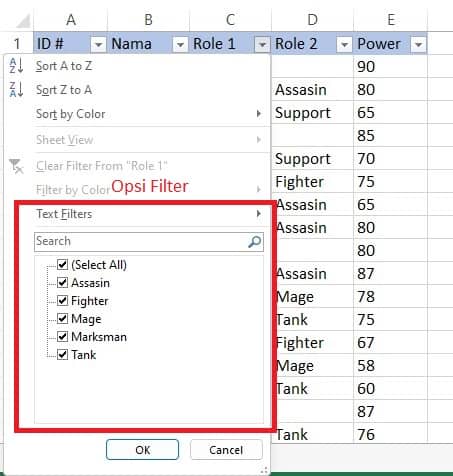 Mengklik menu dropdown pada kolom Role 1 di Excel untuk mengaktifkan filter
