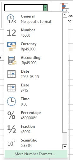 Opsi More Number Formats di menu dropdown Excel
