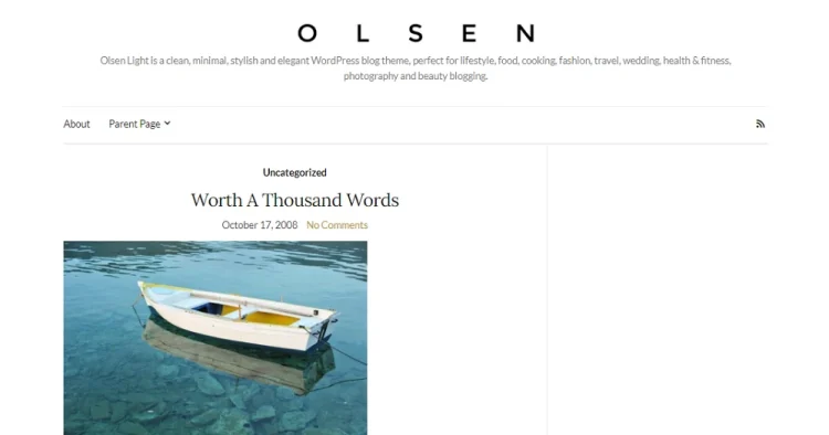 Tampilan tema wordpress untuk blog pribadi Olsen Light