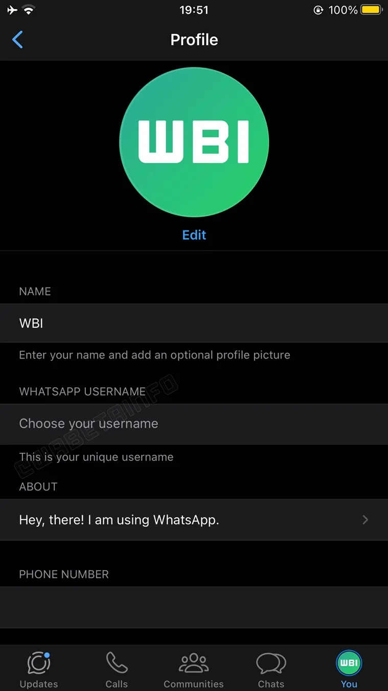 Gambaran Fitur Username di Profil WhatsApp