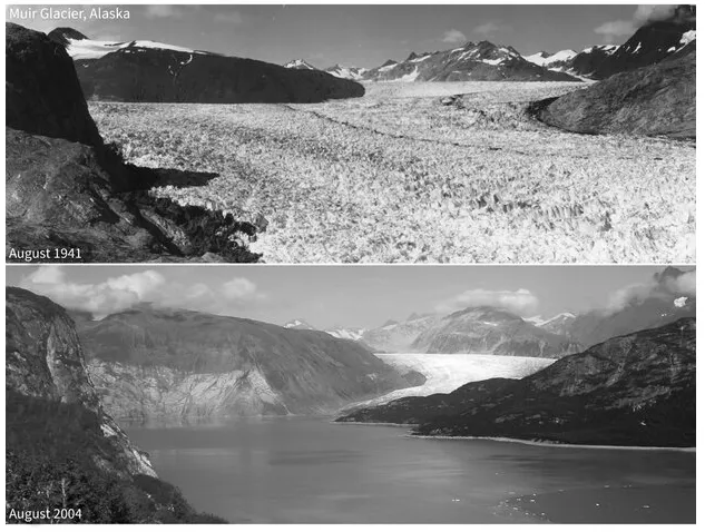gambaran kondisi muir glasier tahun 1941 dan 2004