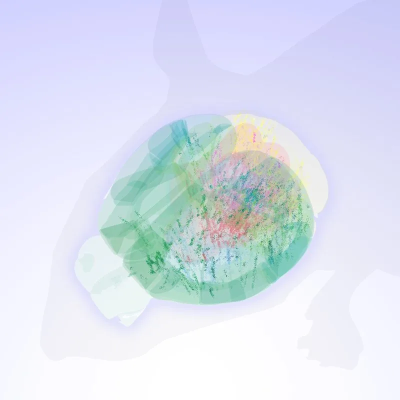 Diagram berwarna yang memetakan berbagai neuron di otak tikus